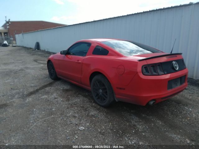 1ZVBP8AM8E5306049 Ford Mustang V6