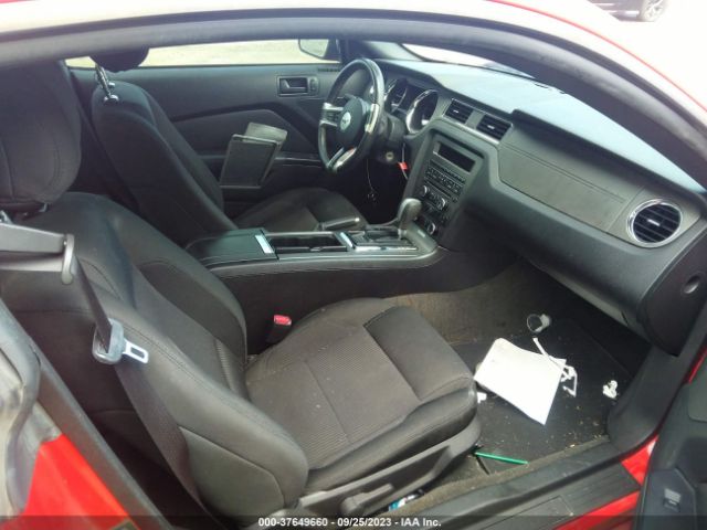1ZVBP8AM8E5306049 Ford Mustang V6
