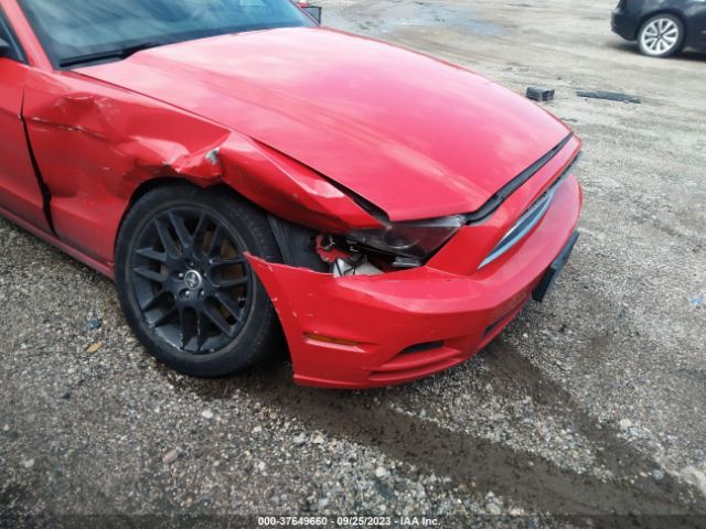 1ZVBP8AM8E5306049 Ford Mustang V6