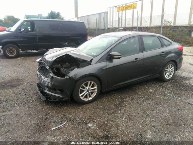 1FADP3F2XFL213946 Ford FOCUS SE