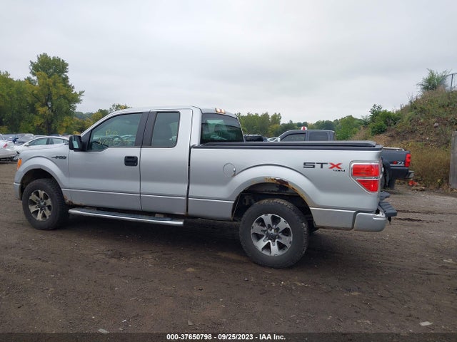 2013 FORD F-150 STX VIN: 1FTFX1EF4DFE05502