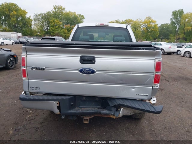 2013 FORD F-150 STX VIN: 1FTFX1EF4DFE05502