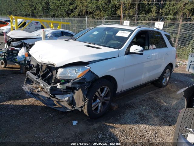 4JGDA5HB3FA458597 Mercedes-Benz M-class Ml 350