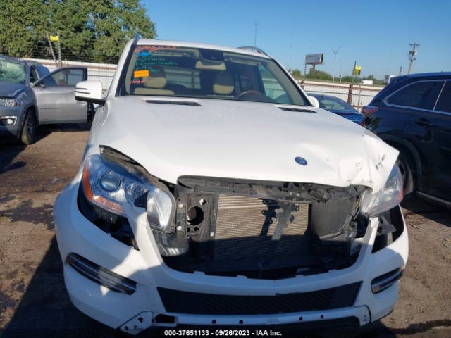 4JGDA5HB1FA560867 Mercedes-Benz M-class Ml 350