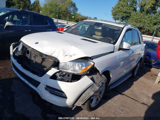 4JGDA5HB1FA560867 Mercedes-Benz M-class Ml 350