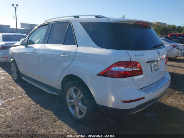 4JGDA5HB1FA560867 Mercedes-Benz M-class Ml 350