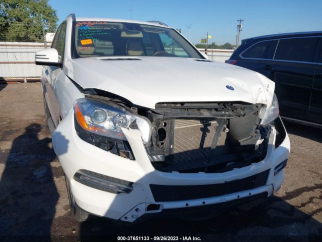 4JGDA5HB1FA560867 Mercedes-Benz M-class Ml 350
