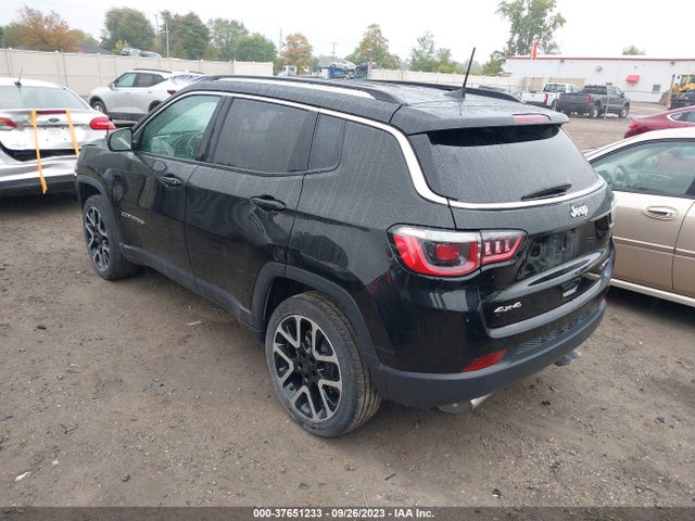 Jeep Compass Limited 2019 3C4NJDCBXKT842163 Image 3