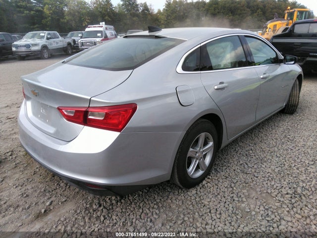 2019 CHEVROLET MALIBU LS VIN: 1G1ZB5ST8KF174784