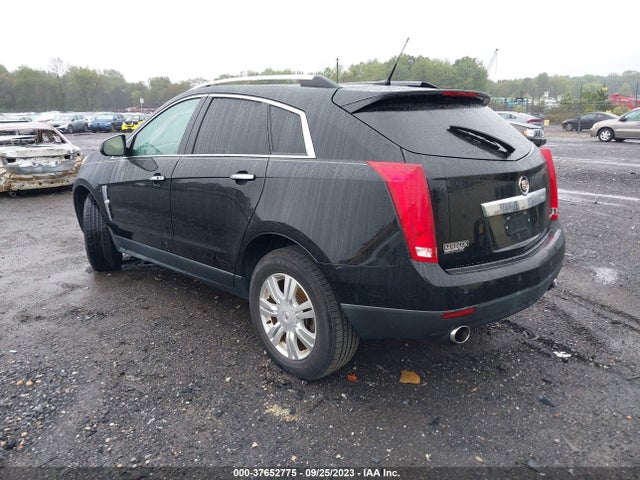 2011 CADILLAC SRX LUXURY COLLECTION VIN: 3GYFNAEY0BS569386