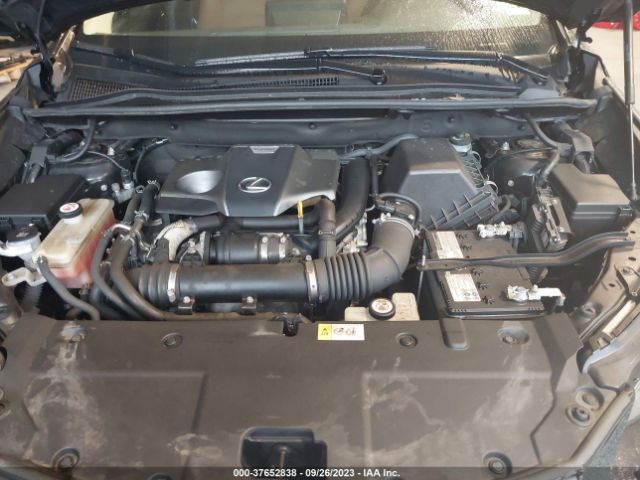 JTJBARBZ6K2190784 Lexus Nx Nx 300