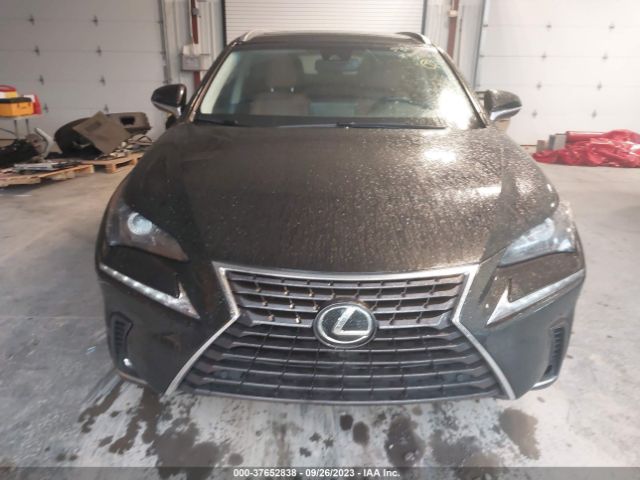 JTJBARBZ6K2190784 Lexus Nx Nx 300