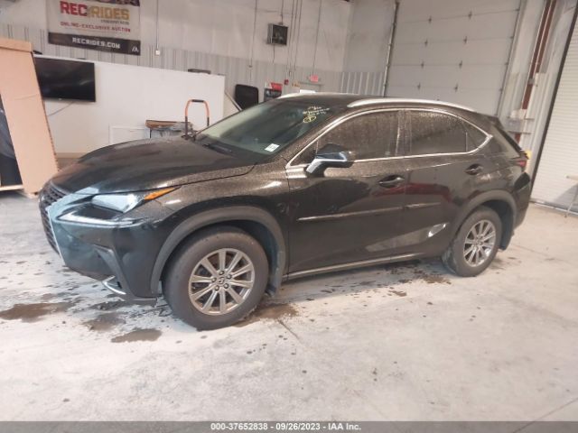 JTJBARBZ6K2190784 Lexus Nx Nx 300