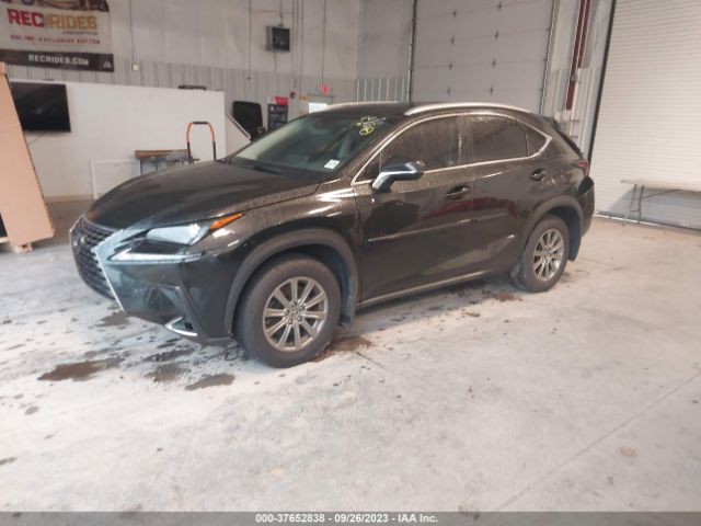JTJBARBZ6K2190784 Lexus Nx Nx 300