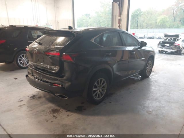 JTJBARBZ6K2190784 Lexus Nx Nx 300
