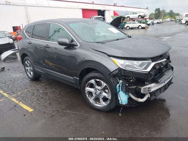 2019 5J6RW2H83KA013229 main image