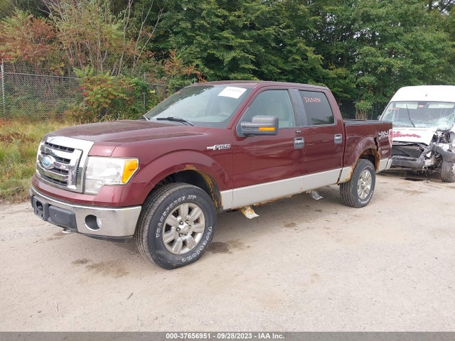 2009 FORD F-150 XL/XLT/FX4/LARIAT VIN: 1FTPW14V29FA06384