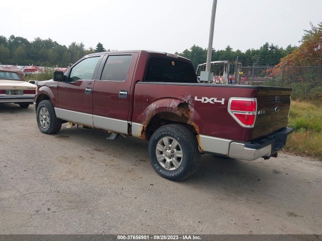 2009 FORD F-150 XL/XLT/FX4/LARIAT VIN: 1FTPW14V29FA06384