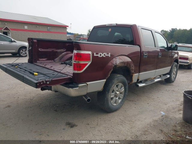 2009 FORD F-150 XL/XLT/FX4/LARIAT VIN: 1FTPW14V29FA06384