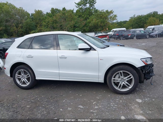 WA1D7AFP1GA014785 Audi Q5 Premium Plus