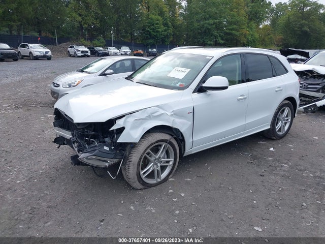 WA1D7AFP1GA014785 Audi Q5 Premium Plus