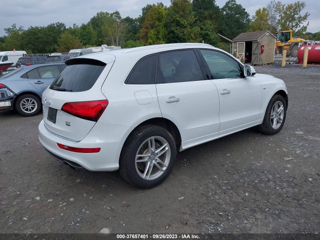 WA1D7AFP1GA014785 Audi Q5 Premium Plus