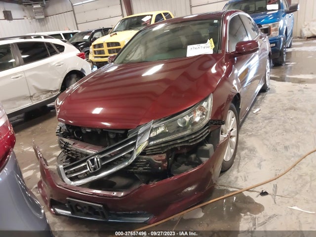 Honda Accord Ex-l 2014 1HGCR2F81EA017839 Image 12
