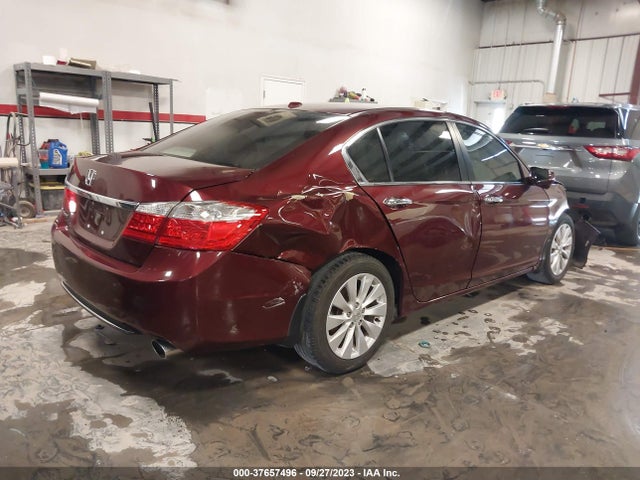 Honda Accord Ex-l 2014 1HGCR2F81EA017839 Image 4