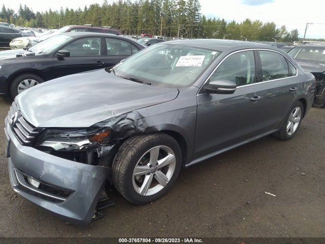 1VWAT7A31FC104143 Volkswagen Passat 1.8t Limited Edition