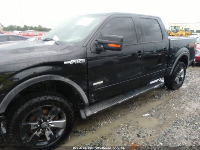 1FTFW1ETXEFB54916 Ford F-150 Xl/xlt/fx4/lariat