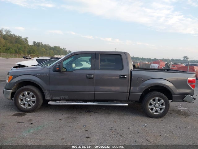 2013 FORD F-150 XL/XLT/FX2/LARIAT VIN: 1FTFW1CF7DKD02863