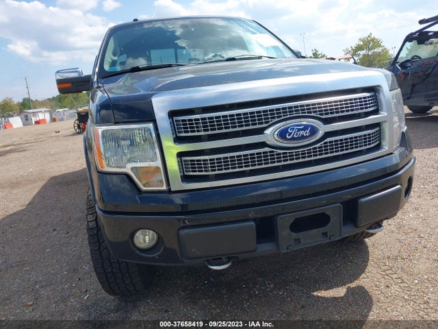 2009 FORD F-150 XL/XLT/FX4/LARIAT VIN: 1FTPW14V89FA03408