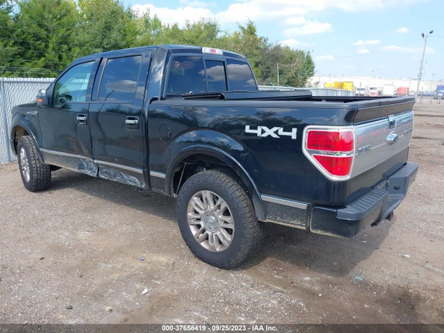 2009 FORD F-150 XL/XLT/FX4/LARIAT VIN: 1FTPW14V89FA03408