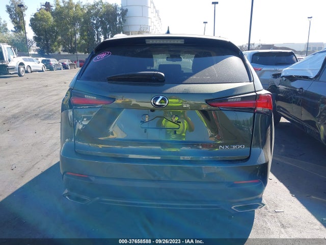 JTJDARBZ9M2182786 Lexus Nx Nx 300