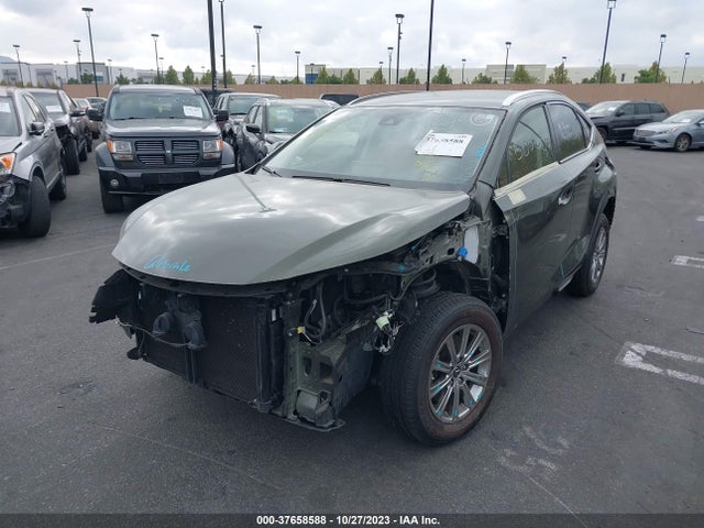 JTJDARBZ9M2182786 Lexus Nx Nx 300