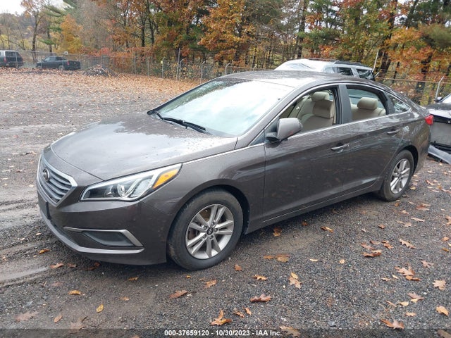 Hyundai Sonata 2.4l Se 2016 5NPE24AF9GH348659 Image 2