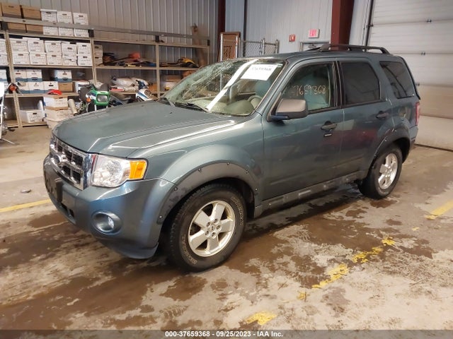 2011 FORD ESCAPE XLT VIN: 1FMCU9D73BKA40931