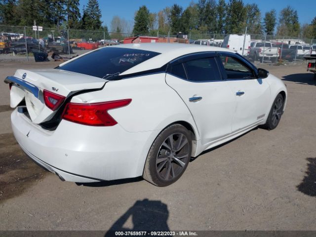 1N4AA6AP9HC412207 Nissan MAXIMA SV