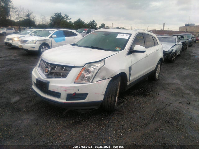 2011 CADILLAC SRX LUXURY COLLECTION VIN: 3GYFNDEYXBS639364