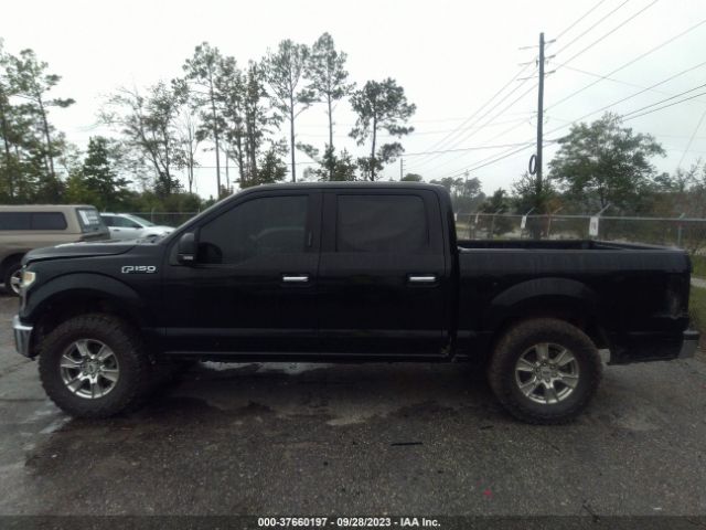 1FTEW1C83HFA35622 Ford F-150 Xl/xlt
