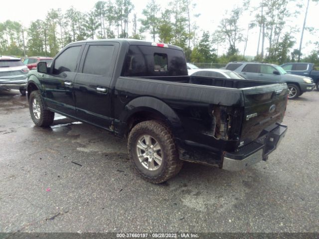 1FTEW1C83HFA35622 Ford F-150 Xl/xlt