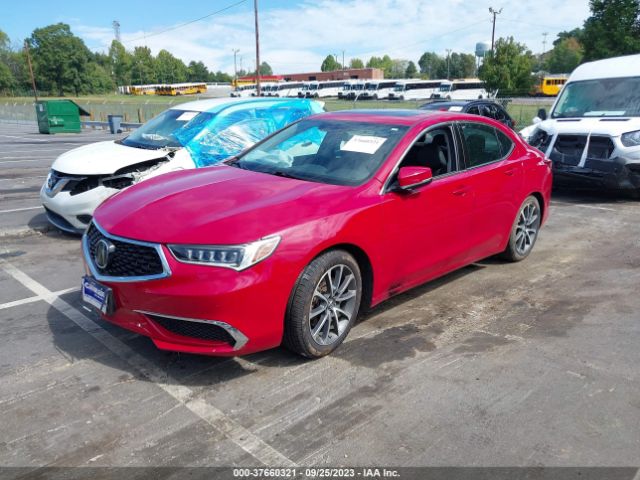 19UUB2F38KA003431 Acura TLX