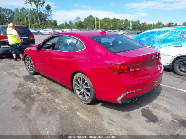 19UUB2F38KA003431 Acura TLX