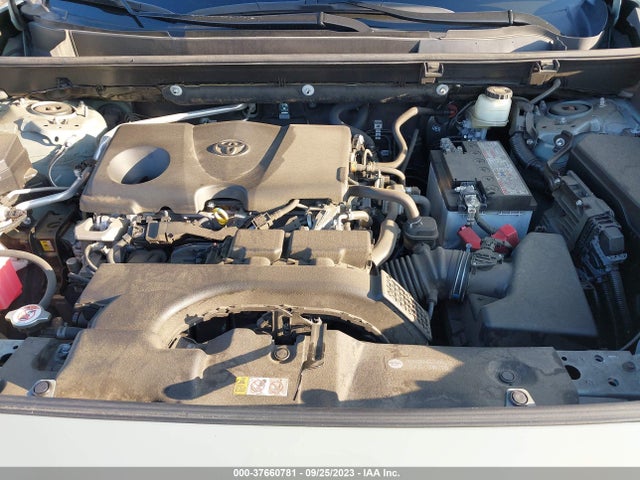 Toyota Rav4 Xle 2019 JTMW1RFVXKD036675 Image 10