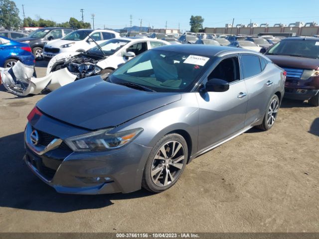 1N4AA6AP1HC402240 Nissan MAXIMA S