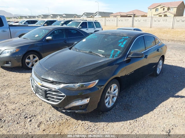 2020 CHEVROLET MALIBU LT VIN: 1G1ZD5ST1LF075140