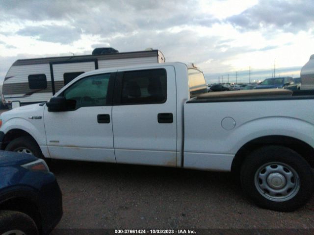 1FTFW1ET7EKF80795 Ford F-150 Xl/xlt/fx4/lariat