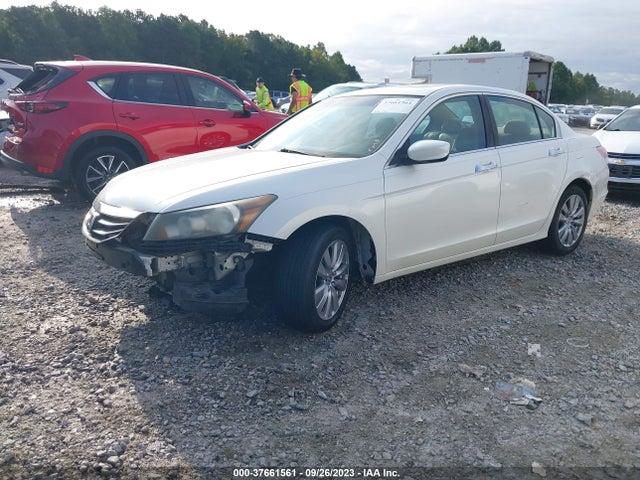 2011 HONDA ACCORD SDN EX-L VIN: 1HGCP3F83BA003125