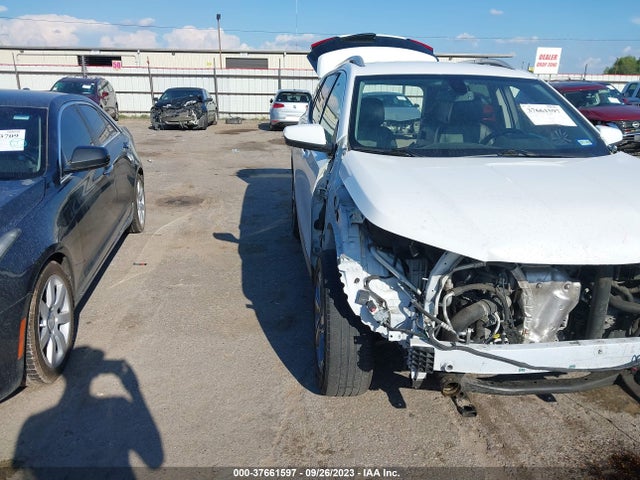 2019 3GKALPEV7KL239984 главное изображение