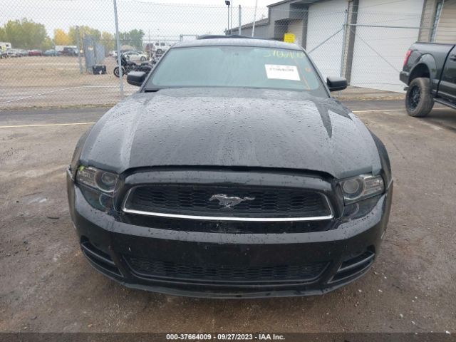 1ZVBP8AM9E5221348 Ford Mustang V6